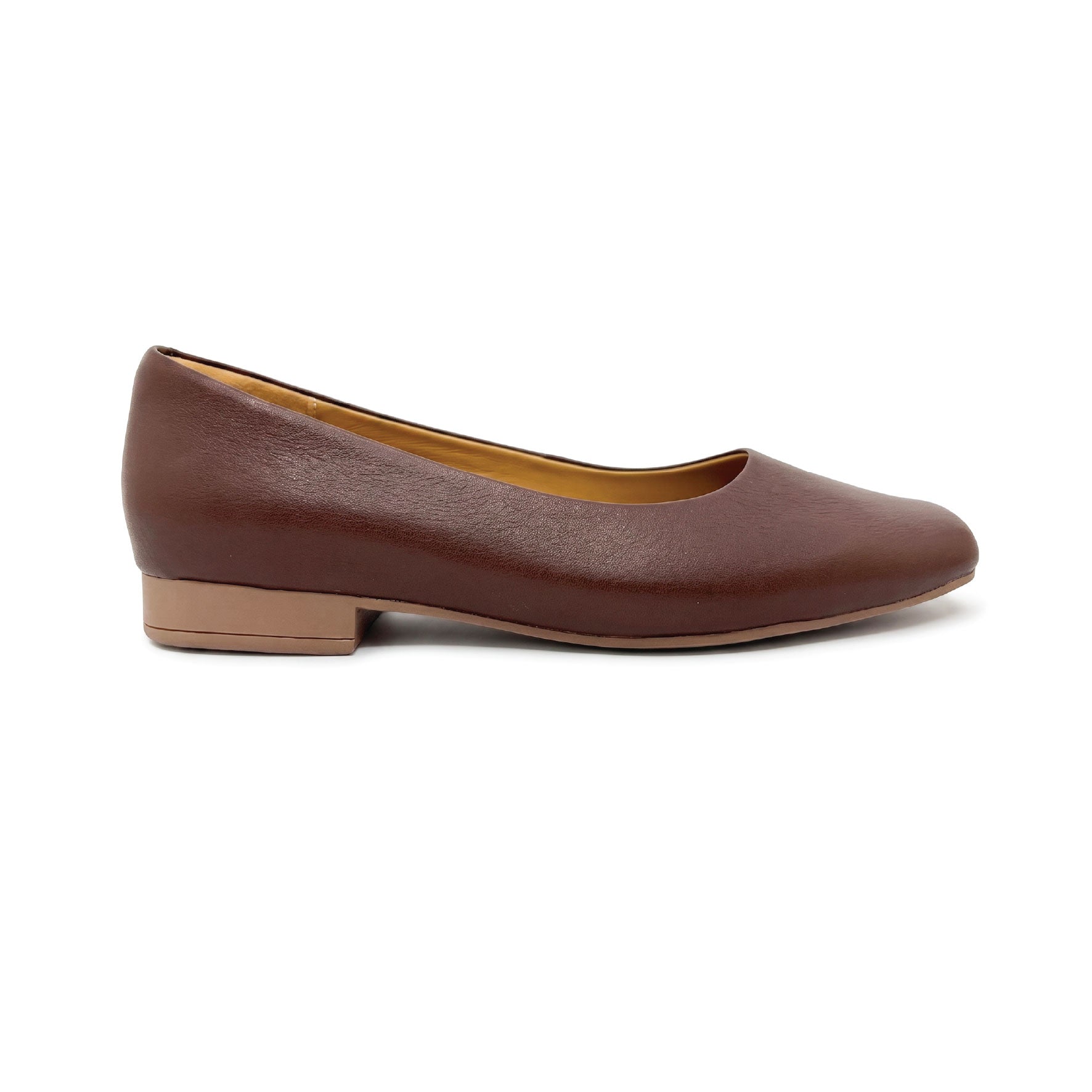 A0225052_Brown-01.jpg