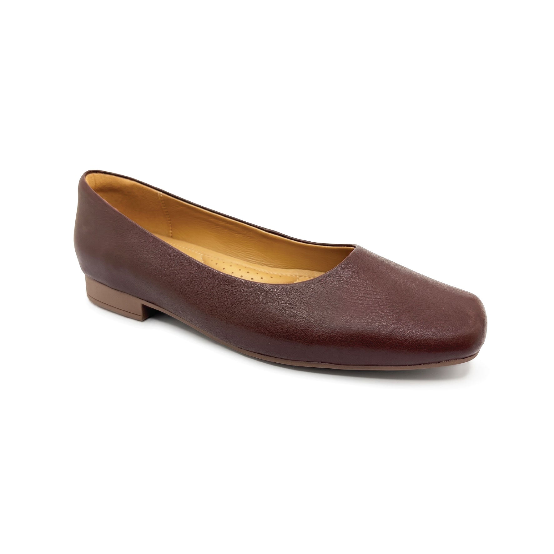 A0225052_Brown-02.jpg